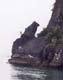 Dog Rock, Ha Long Bay - Viet Nam